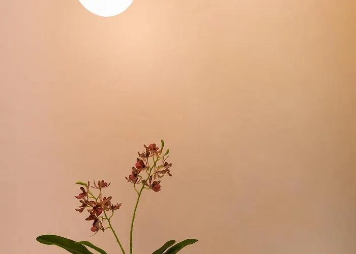 Appartement 8,9월 특가, 강남, 프리미엄 2br, 6인, 코엑스, 잠실, 롯데타워, Kspo돔, 성형, 삼성병원, Cozy Nest Seoel